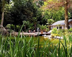 Unterkunft 571406 - Ferienhaus Utrechtse Heuvelrug - CoCo Cabin