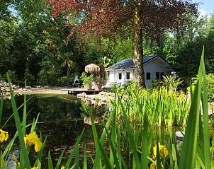 Unterkunft 571410 • Ferienhaus Utrechtse Heuvelrug • Huisje in Woudenberg 