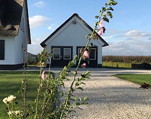 Guest house 571502 • Bed and Breakfast Utrechtse Heuvelrug • Vakantiehuis in Cothen 