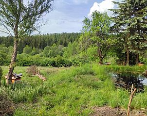 Guest house 571608 - Chalet Utrechtse Heuvelrug - Vakantiepark de Tabaksschuur 3