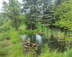 Guest house 571608 - Chalet Utrechtse Heuvelrug - Vakantiepark de Tabaksschuur 3