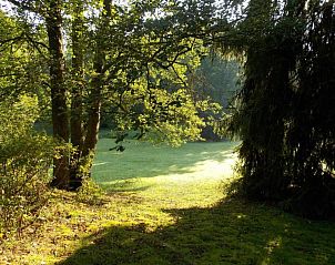 Guest house 571608 - Chalet Utrechtse Heuvelrug - Vakantiepark de Tabaksschuur 3