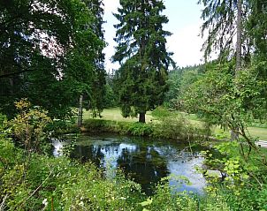 Guest house 571608 - Chalet Utrechtse Heuvelrug - Vakantiepark de Tabaksschuur 3