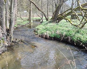 Guest house 571609 - Apartment Utrechtse Heuvelrug - Vakantiepark de Tabaksschuur 4