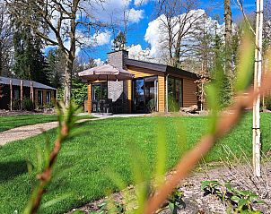 Unterkunft 5718122 • Ferienhaus Utrechtse Heuvelrug • Hackfort Wood 6 