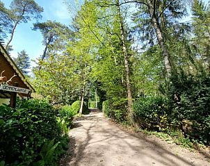 Unterkunft 571816 - Ferienhaus Utrechtse Heuvelrug - Huisje in Maarn