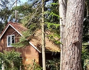 Unterkunft 571816 - Ferienhaus Utrechtse Heuvelrug - Huisje in Maarn