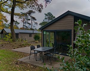 Guest house 571875 - Holiday property Utrechtse Heuvelrug - Vrijstaande woning in Maarn