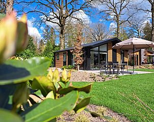 Guest house 571879 - Holiday property Utrechtse Heuvelrug - Vrijstaande woning in Maarn