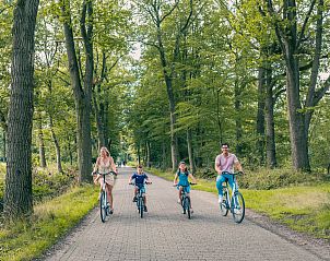 Unterkunft 571883 - Ferienhaus Utrechtse Heuvelrug - EuroParcs De Utrechtse Heuvelrug