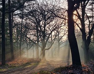 Unterkunft 572204 - Ferienhaus Utrechtse Heuvelrug - Huisje in Stoutenburg