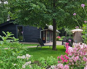 Buitenzicht op Vakantiehuisje in Maarsbergen omgeven door bloeiende tuinen op de Utrechtse Heuvelrug.