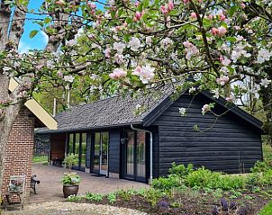 Bloesems in de tuin van Vakantiehuisje in Maarsbergen op de Utrechtse Heuvelrug.