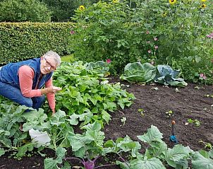 Groentetuin bij Vakantiehuisje in Maarsbergen, perfect voor natuurliefhebbers op de Utrechtse Heuvelrug.