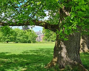 Schaduwrijke bomen in de omgeving van Vakantiehuisje in Maarsbergen op de Utrechtse Heuvelrug.