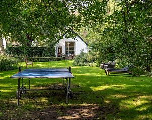 Groene tuin met tafeltennistafel bij guesthouse Splintervelt, vakantieverblijf in Breukelen, Utrecht.