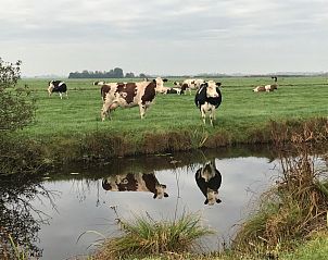 Verblijf 580105 - Vakantiewoning Utrecht noord - guesthouse Splintervelt