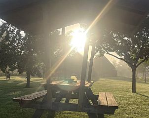 Zonnig terras met picknicktafel bij Vakantiehuisje in IJsselstein, Utrecht.