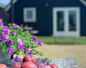 Bloemen en fruit op terras van Vakantiehuisje in IJsselstein, Utrecht.