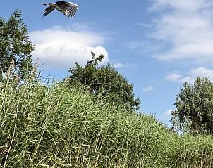 Guest house 581008 - Holiday property Utrecht eo - Huisje in IJsselstein