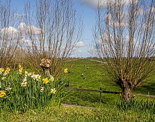 Genieen Sie die schne Aussicht auf die grne Landschaft vom Ferienhaus in Hekendorp, Utrecht, ein idyllisches Ferienhaus.