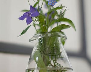 Bloemendecoratie in Huisje in Oudewater, vakantieverblijf in Utrecht met kleurrijke bloemen in glazen vaas.