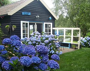 Verblijf 583007 - Vakantiewoning Utrecht eo - Huisje in Zegveld