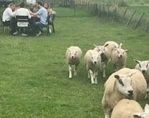 Guest house 583214 - Holiday property Utrecht eo - Vakantiehuis in Schalkwijk