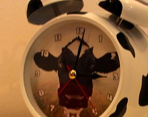 Guest house 583214 - Holiday property Utrecht eo - Vakantiehuis in Schalkwijk