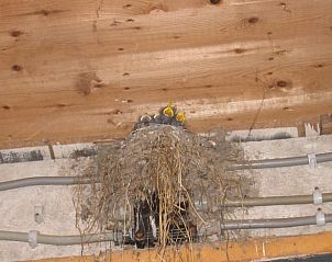 Guest house 583214 - Holiday property Utrecht eo - Vakantiehuis in Schalkwijk