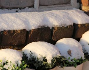 Guest house 583214 - Holiday property Utrecht eo - Vakantiehuis in Schalkwijk