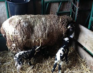 Guest house 583214 - Holiday property Utrecht eo - Vakantiehuis in Schalkwijk