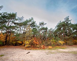 Guest house 583301 - Holiday property Utrecht eo - Vakantiehuisje in Bilthoven