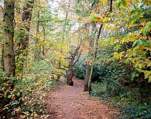 Guest house 583301 - Holiday property Utrecht eo - Vakantiehuisje in Bilthoven