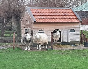 Verblijf 583403 - Vakantiewoning Utrecht eo - Vakantiehuis in Lopik