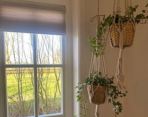Guest house 589803 - Holiday property Utrecht eo - UT118