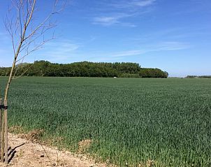 Expansive field with sweeping views at Holiday home in Wissenkerke, North Beveland, surrounded by nature.