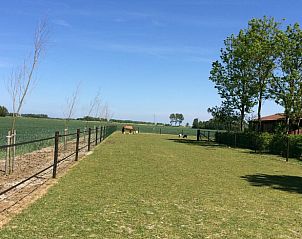 Spacious lawn overlooking meadows at Holiday home in Wissenkerke, North Beveland, perfect for walks.