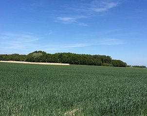 Green landscape with blue sky at Holiday home in Wissenkerke, North Beveland, for a serene vacation.
