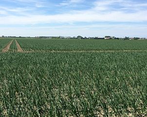 Rural setting with agricultural fields at Holiday home in Wissenkerke, North Beveland, for peace and quiet.