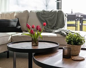 Luxury living room in Holiday home in Wissenkerke with beautiful views of the nature of North Beveland, Zeeland.