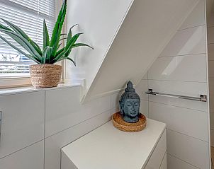 Guest house 590226 - Holiday property Noord-Beveland - Dune Deluxe 81