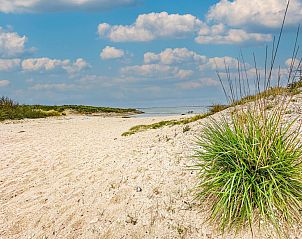 Guest house 590243 - Holiday property Noord-Beveland - Happy Beach 44