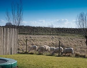 Guest house 590252 - Holiday property Noord-Beveland - Vakantiehuis Ganuenta