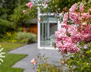 Sonniger Wintergarten mit bequemem Stuhl im Ferienhaus ZE1121 in Kamperland, Zeeland.