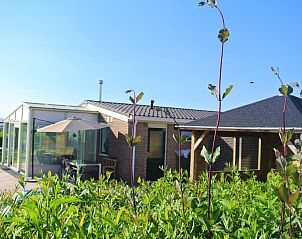 Genieen Sie die ruhige Veranda des Ferienhauses ZE1679 in Kamperland, Noord-Beveland, umgeben von der erholsamen Natur Zeelands.