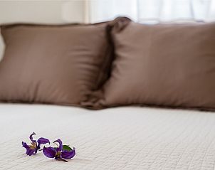 Guest house 5903121 - Bungalow Noord-Beveland - Vakantiebungalow Ruiterplaat "Eikenlaan 18"