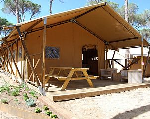 Unterkunft 5903127 • Zelthaus Noord-Beveland • Safaritent 6 