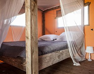 Unterkunft 5903127 - Zelthaus Noord-Beveland - Safaritent 6