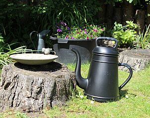 Detail van tuin bij Populierenlaan 1 | Ruiterplaat, vakantiehuis in Kamperland, met bloemen en gieter.